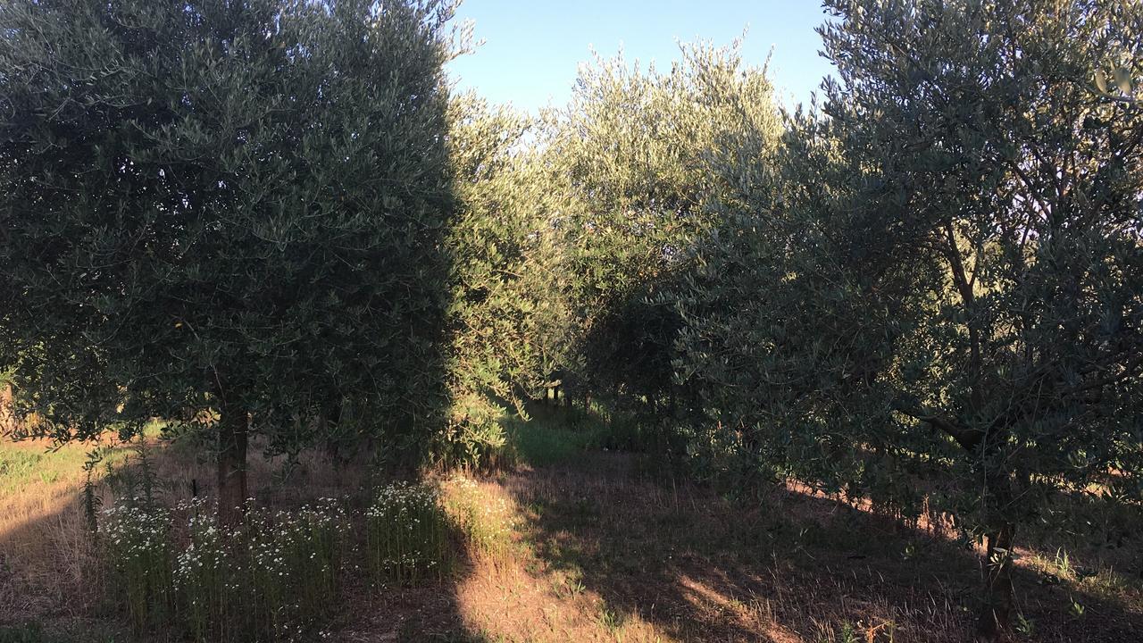Casa Vacanze Soleluna Montichiari Exterior foto